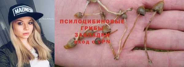 крисы Апатиты