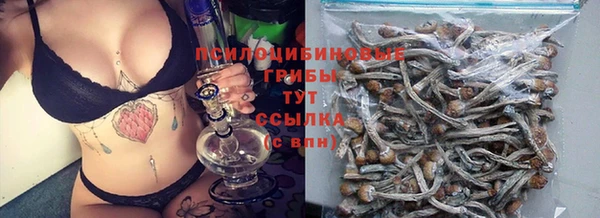 спиды Вязники