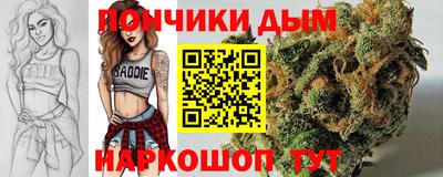прущие грибы Гусиноозёрск