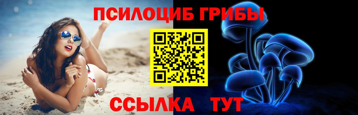 Псилоцибиновые грибы мухоморы  Майкоп  Галлюциногенные грибы прущие грибы 